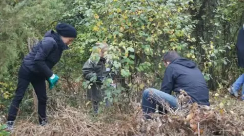 Restauration de la colline aux oiseaux